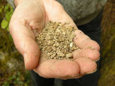 bentonite